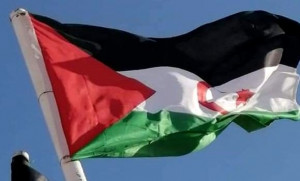 La RASD demande « une pleine participation » aux mécanismes internationaux sur le climat - Réveil d'algérie