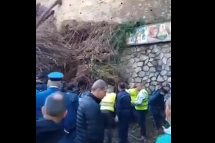 Des arbres tombe sur des voitures dans la rue Mohammed V. - Réveil d'algérie