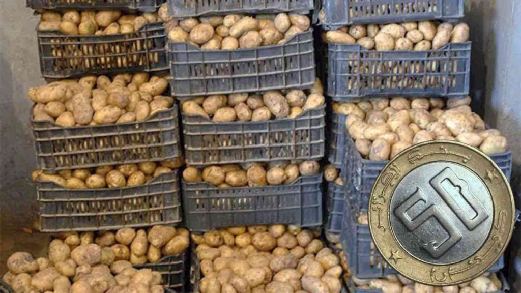 Le ministère du Commerce dévoile les points de vente de pommes de terre réservées dans la capitale et sa banlieue. - Réveil d'algérie
