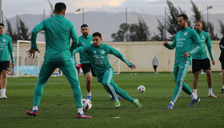 Les Verts effectuent leur premier entraînement au stade Tchaker. - Réveil d'algérie