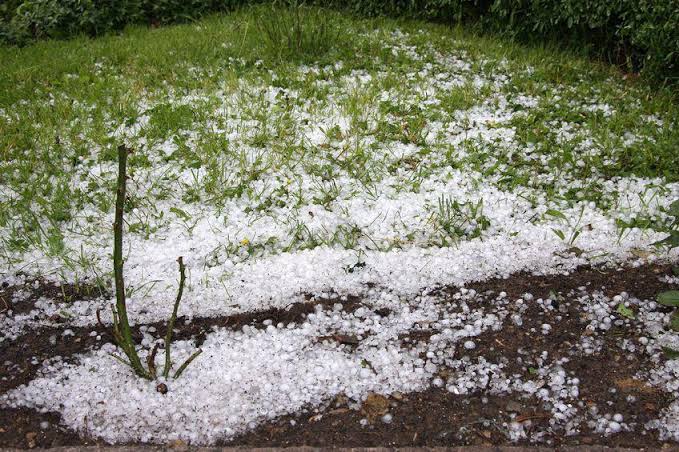 Alerte météo : Fortes pluies et chutes de grêle sur plusieurs wilayas. - Réveil d'algérie