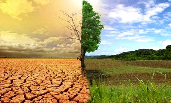 La lutte contre les changements climatiques au centre des priorités de l’Algérie - Réveil d'algérie