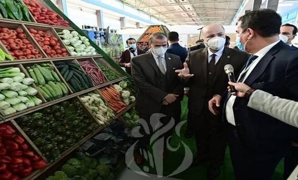 Benabderrahmene : le plein soutien du Gouvernement aux projets d’investissement réalisés au niveau national par les enfants de la diaspora algérienne établie à l’étranger. - Réveil d'algérie