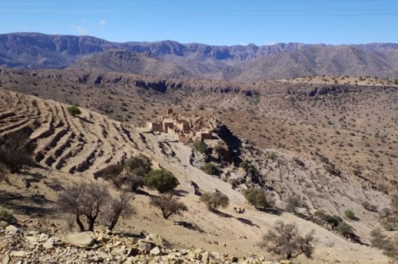 Le Fonds pour l’environnement mondial approuve 13,6 millions dollars en faveur de la FAO - Réveil d'algérie