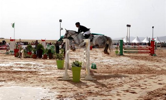Le cavalier Mohamed Mesrati remporte le titre de champion d’Algérie de saut d’obstacle. - Réveil d'algérie