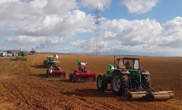 750.000 hectares de terres agricoles récupérés , dans le cadre du programme de mise en valeur des terres. - Réveil d'algérie