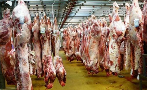 Filière des viandes rouges : les opérateurs réclament le dégel de l’importation des aliments du bétail. - Réveil d'algérie