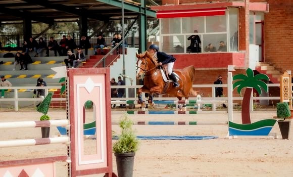 L’Algérie a remporté le trophée par équipes juniors de la Coupe d’Afrique des nations de saut d’obstacles. - Réveil d'algérie