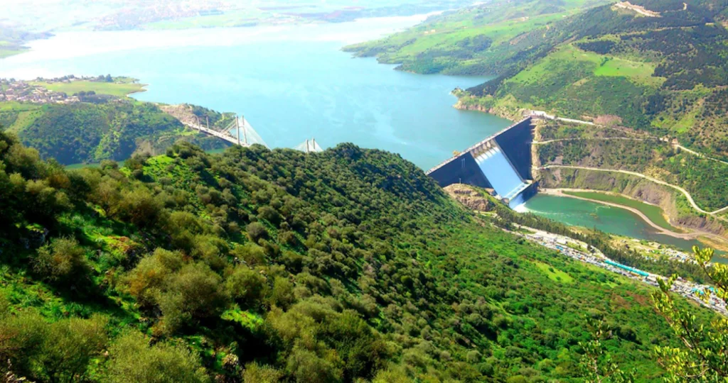 Mila : Lâchés de 4.000 alevins de sandres dans le barrage de Beni Haroun. - Réveil d'algérie
