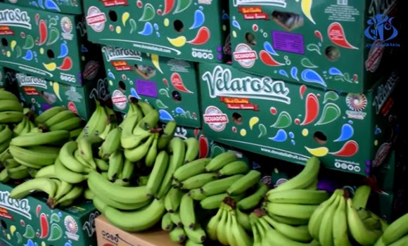 1243 tonnes de bananes destinées à la spéculation ont été saisies par les services de la Sûreté nationale au niveau de capitale et de plusieurs wilayas. - Réveil d'algérie