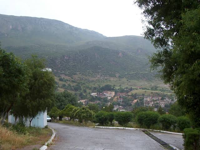 Hammam Guergour : Réouverture du grand marché fermé depuis 1990 à cause de la situation sécuritaire. - Réveil d'algérie