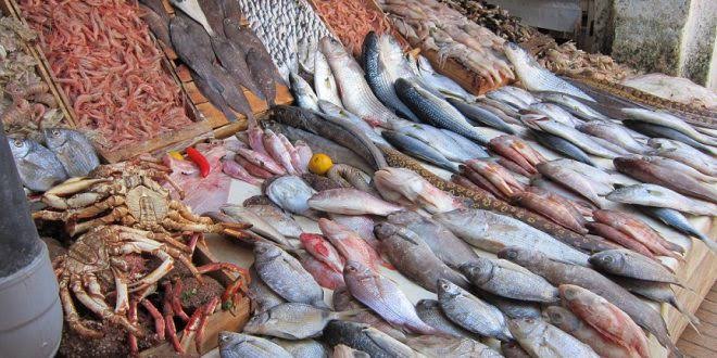 Oran : Ouverture des Halles pour la vente directe de poissons. - Réveil d'algérie