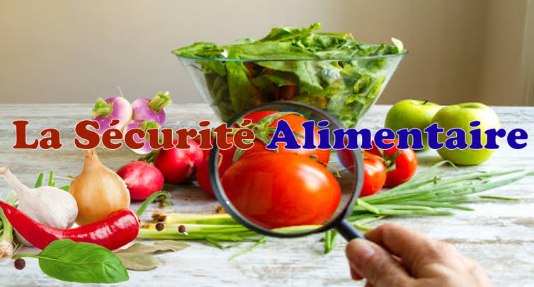 L’indice de sécurité alimentaire : L’Algérie tire son « épingle du jeu » se classant au 54e rang mondial, selon The Economist. - Réveil d'algérie