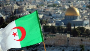 ONU : l’Ambassadeur Nadir Larbaoui réaffirme le soutien inconditionnel de l’Algérie à la cause palestinienne. - Réveil d'algérie