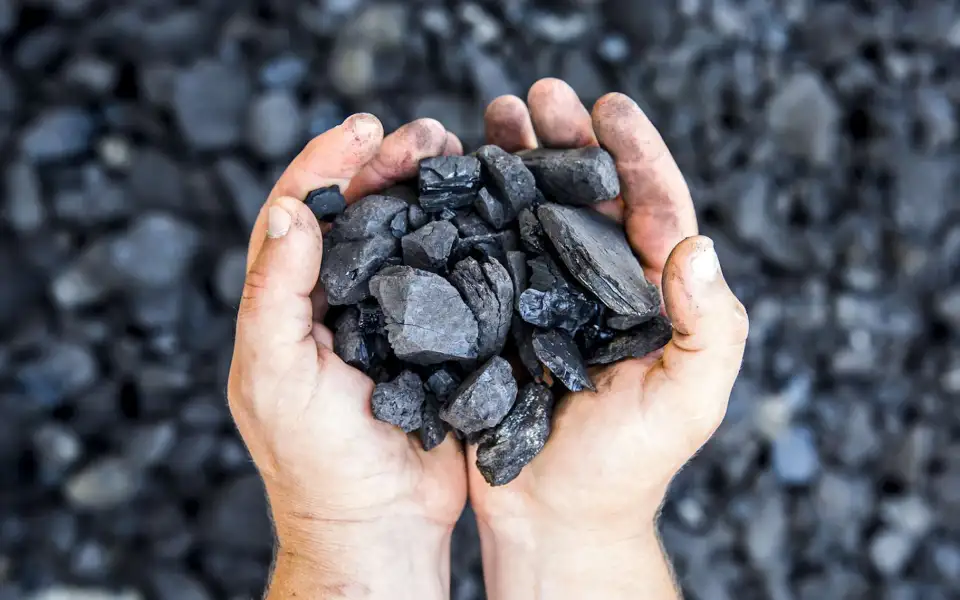 Gel provisoire de la production de charbon de bois poue éviter les incendies de forêts. - Réveil d'algérie