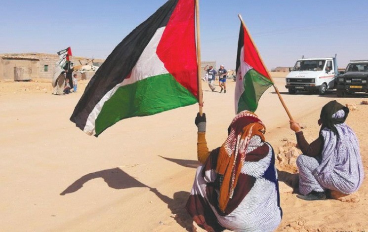 Le militant des droits de l’homme, Mahrez Lamari a exhorté l’ONU et l’Union africaine (UA) à assumer leurs responsabilités envers le peuple sahraoui. - Réveil d'algérie