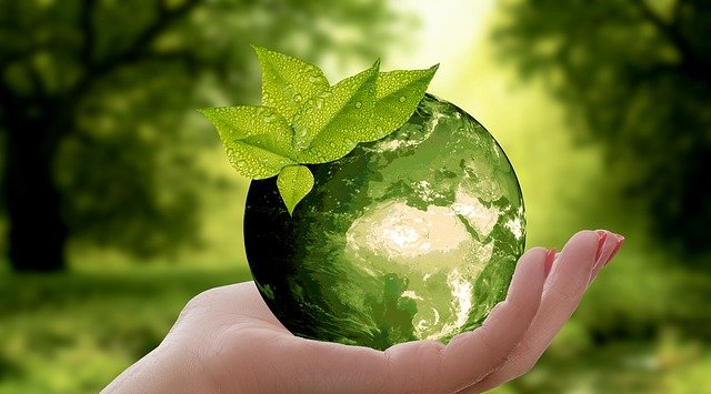 Journée mondiale de l’environnement : Nos forêts en danger. - Réveil d'algérie