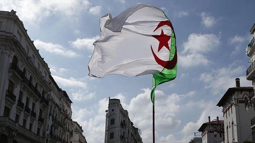 Activités gouvernementales en question : Lire l’édito. - Réveil d'algérie