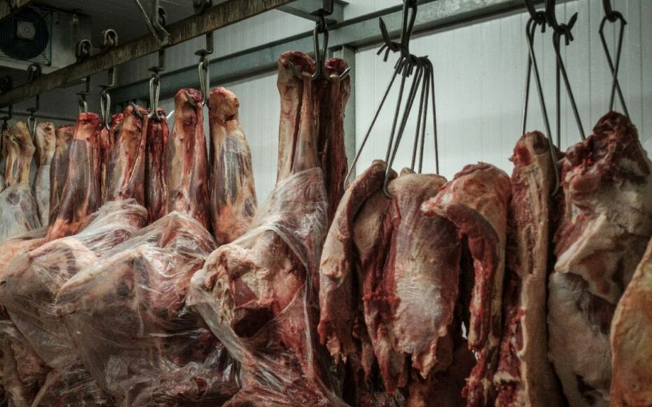 20 quintaux de viandes avariés saisis à Oran. - Réveil d'algérie