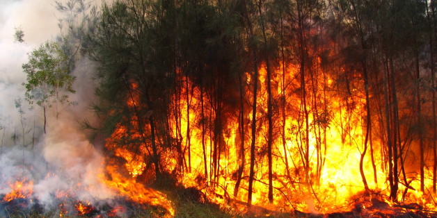 Les incendies reprennent dans plusieurs wilayas. - Réveil d'algérie