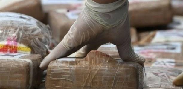 Trafic de drogue : Croissance de 200 % en 2022, et 60 tonnes de cannabis saisis. - Réveil d'algérie