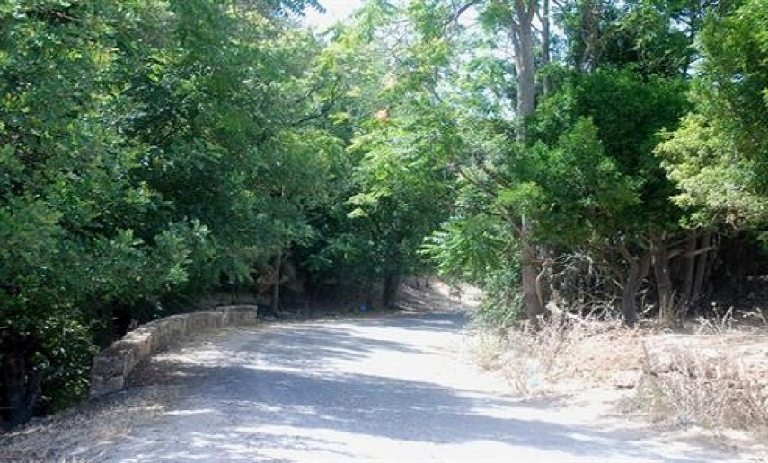 Examen d’un avant-projet de loi sur la gestion du patrimoine forestier. - Réveil d'algérie