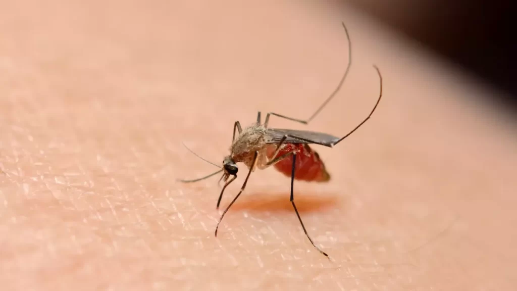 Création d’un centre de référence de lutte contre les maladies tropicales, à l’extrême sud du pays. - Réveil d'algérie