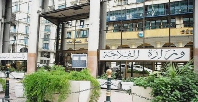 Le ministère de l’Agriculture met en garde contre l’abattage des arbres en milieux urbain et suburbain. - Réveil d'algérie