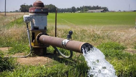 Les femmes algériennes investissent le secteur agricole. - Réveil d'algérie