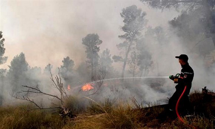 14 hectares ravagés à Batna dans un incendie. - Réveil d'algérie