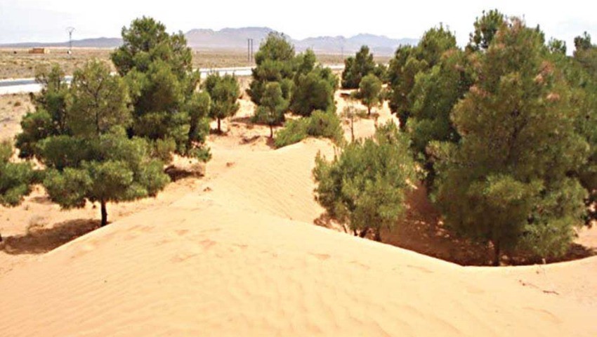 Piste d’atterrissage de Canadairs à Tizi-Ouzou. - Réveil d'algérie