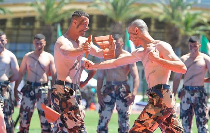 Tamanrasset: engouement autour des « Portes ouvertes » sur les sports militaires - Réveil d'algérie