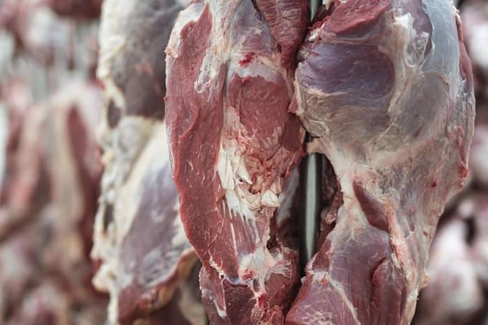 Importation de viande rouge : Arrivée des premiers veaux aujourd’hui. - Réveil d'algérie