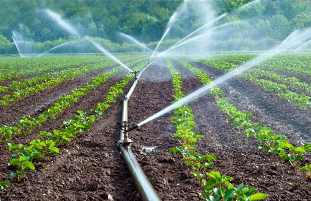 174 anciennes fermes pilotes transformées en unités de production agricole - Réveil d'algérie