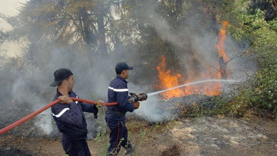 Sept départs de feu en deux jours à Tizi-Ouzou. - Réveil d'algérie