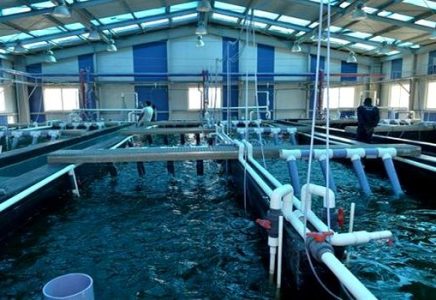 Tiaret: création d’une coopérative aquacole intégrée à l’agriculture. - Réveil d'algérie
