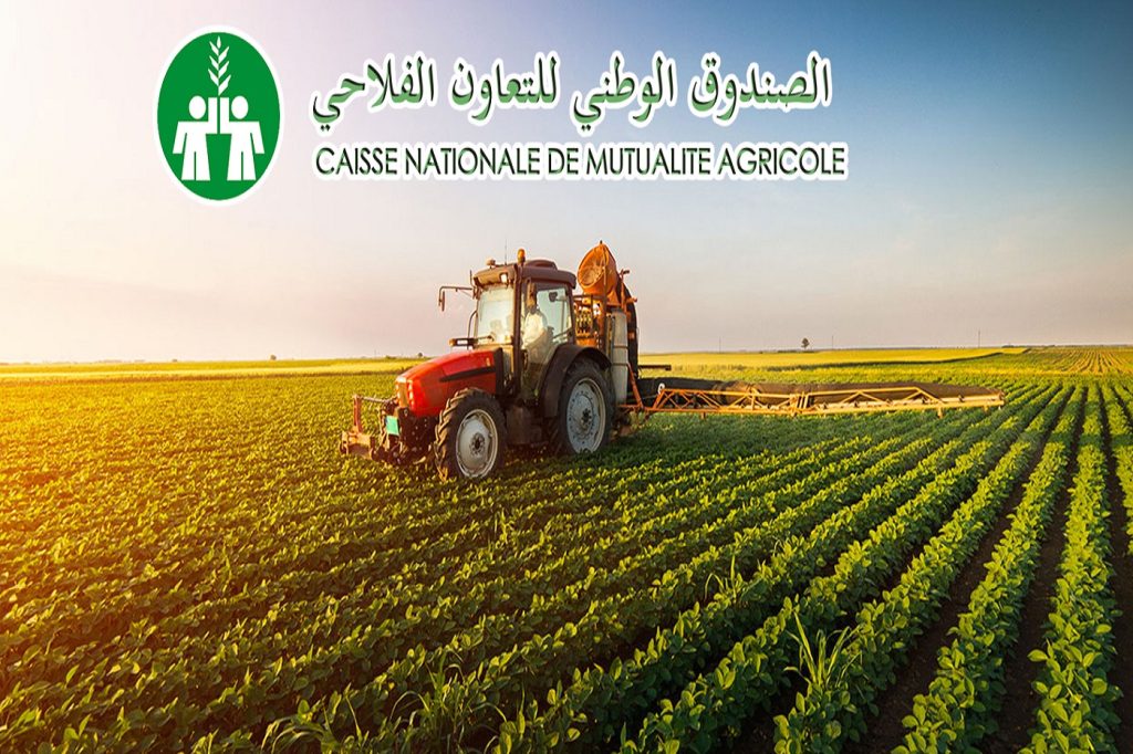 Indemnisation de 13.000 agriculteurs par la (CNMA) en 2022. - Réveil d'algérie