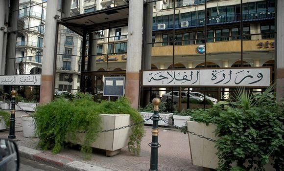 Wilayas du Sud: Une 3e assiette foncière destinée à l’investissement agricole. - Réveil d'algérie