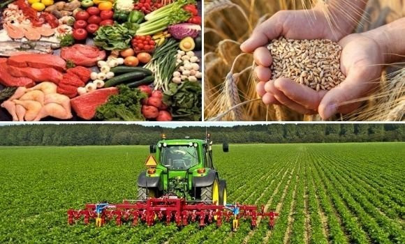 1ère conférence scientifique sur la sécurité alimentaire dans le monde arabe dimanche et lundi à Constantine. - Réveil d'algérie