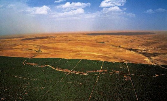 Barrage vert : 8 milliards de DA lui seront réservés par an. - Réveil d'algérie