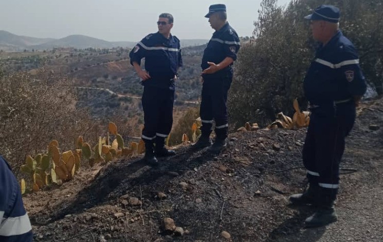 Feux de forêt : Extinction de tous les incendies, à l’exception d’un seul à Skikda. - Réveil d'algérie