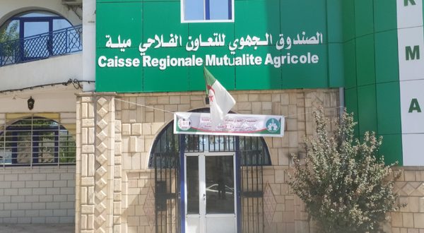 Caisse régionale de mutualité agricole (CRMA). - Réveil d'algérie