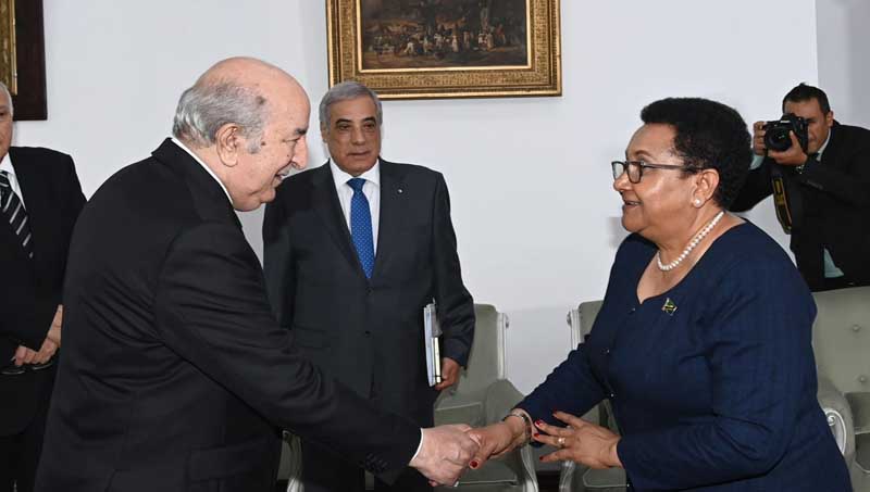 Le Président de la République reçoit la ministre des Affaires étrangères et de la Coopération est-africaine de Tanzanie. - Réveil d'algérie