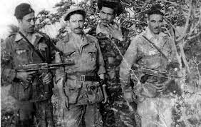 Moudjahidine de la wilaya III historique. - Réveil d'algérie