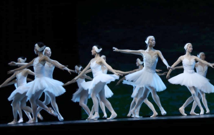 Danseurs chinois du Suzhou Ballet Théâtre. - Réveil d'algérie