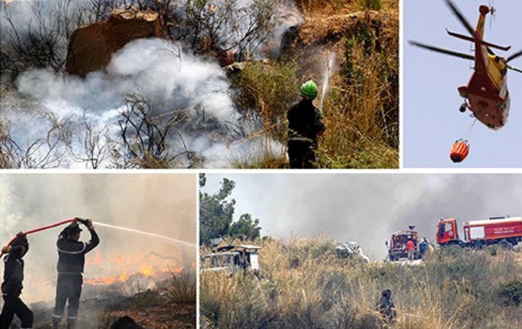 Extinction de la majorité des feux de forêts dans plusieurs wilayas. - Réveil d'algérie