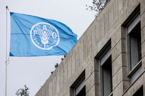 l’indice des prix des produits alimentaires reste quasi stable en septembre selon la (FAO). - Réveil d'algérie