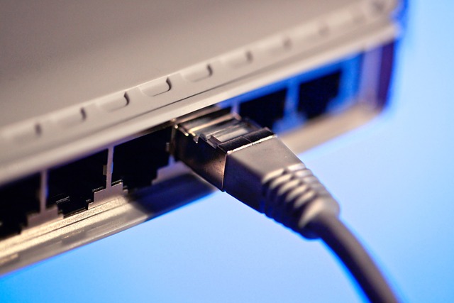 Conseil des ministres : Le Président de la République souligne la nécessité d’assurer une meilleure qualité du débit et du raccordement à Internet. - Réveil d'algérie