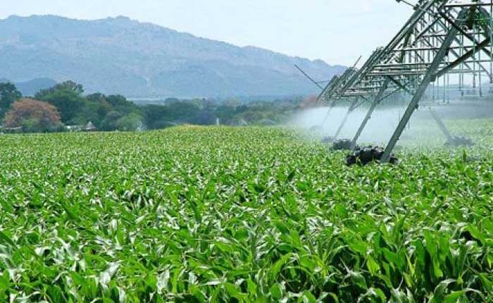 L’ONTA lance prochainement une plateforme numérique sur l’investissement agricole. - Réveil d'algérie