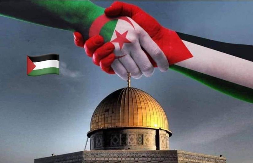 Partis politiques et organisations appellent à des marches populaires jeudi en soutien au peuple palestinien. - Réveil d'algérie